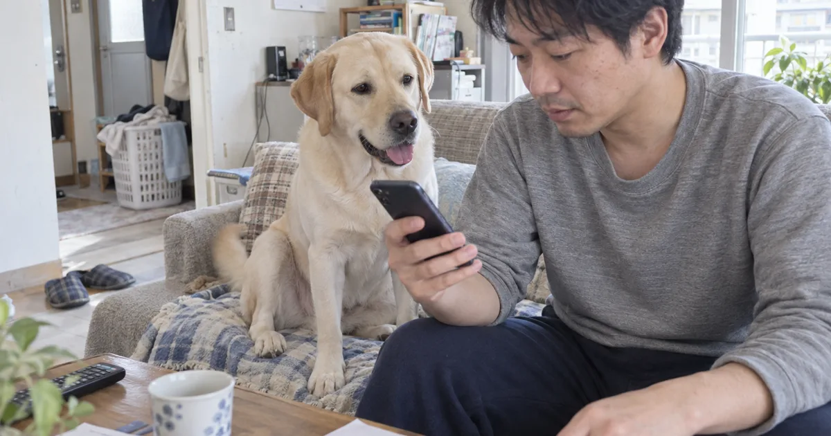 ソファでスマートフォンの料金表を見る30代の男性と、隣に座るラブラドールレトリバー