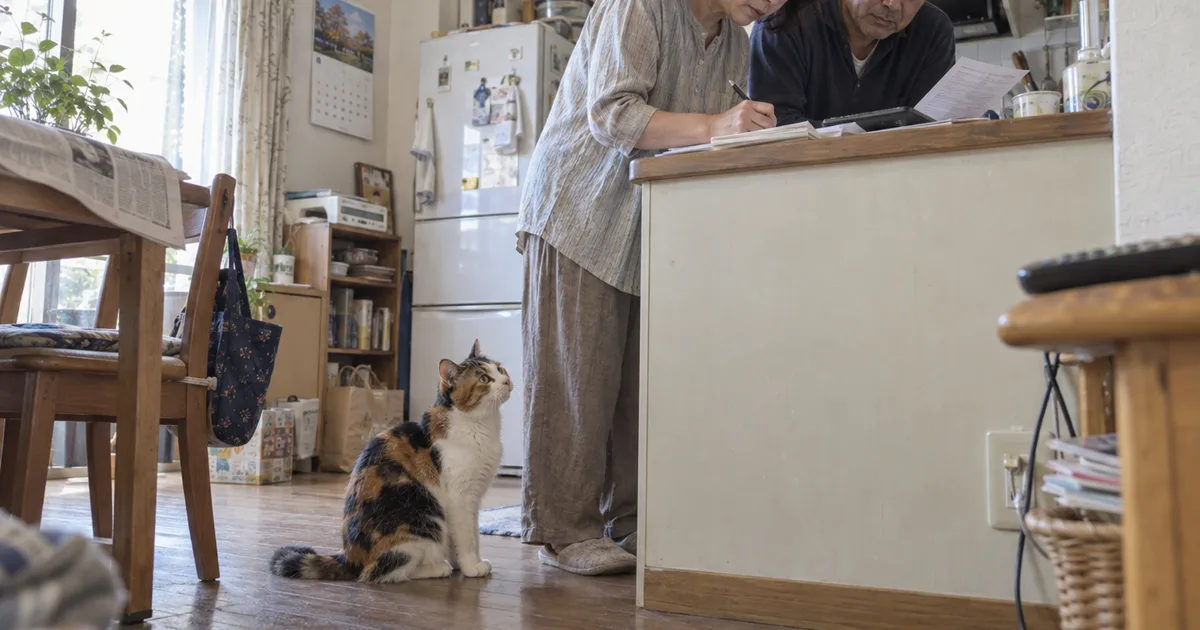 キッチンで費用をメモする50代の夫婦と、足元で見上げる三毛猫