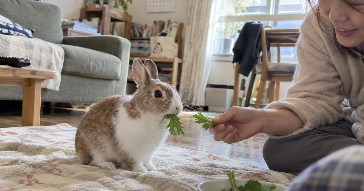 明るいリビングで葉野菜を食べるうさぎ
